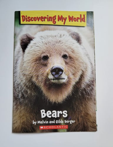Cover of Bears