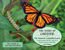 Cover of Story of Chester