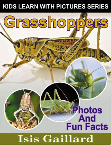 Cover of Grasshoppers : Kids Learn with Pictures 135