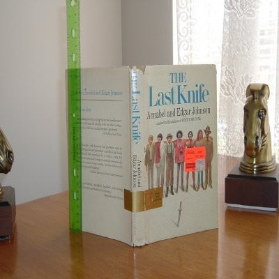 Cover of The last knife