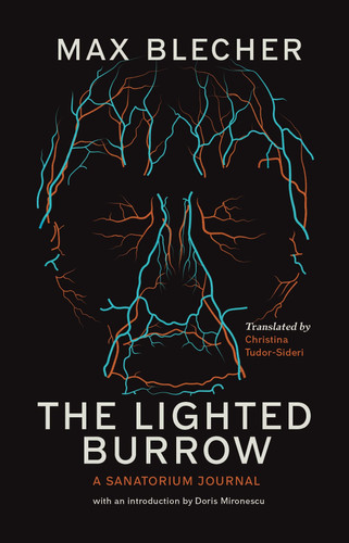 The Lighted Burrow A Sanatorium Journal