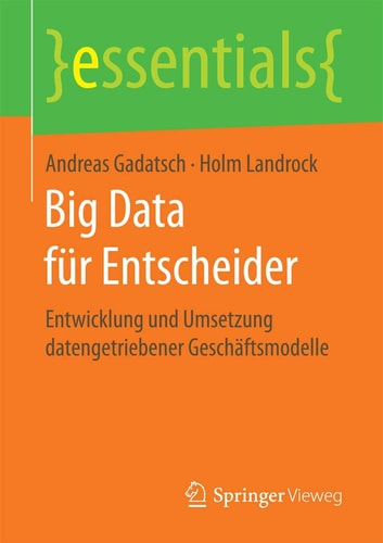 Big Data für Entscheider: Entwicklung und Umsetzung datengetriebener Geschäftsmodelle