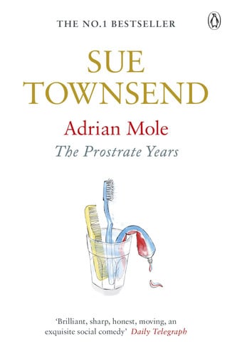 Adrian Mole The Prostrate Years