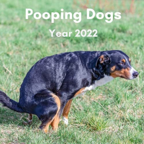Dogs Pooping 2022 Calendar: Funny Pooches Answering Nature's Call For Dog Lovers | Joke, White Elephant, Gag, Gift, Secret Santa, Christmas Stocking Filler