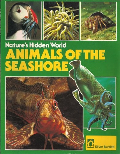 Cover of Animals of the Seashore (Nature's Hidden World)