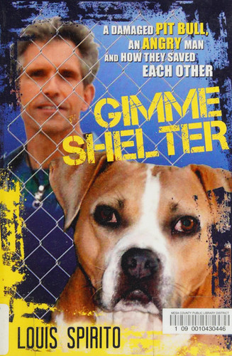 Gimme Shelter