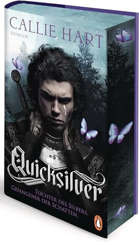 Quicksilver – Tochter des Silbers: Gefangener der Schatten