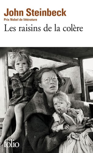 Raisins de La Colere (Folio) (French Edition)