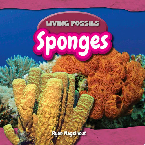 Cover of Sponges