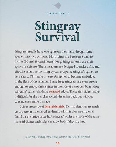 Stingrays