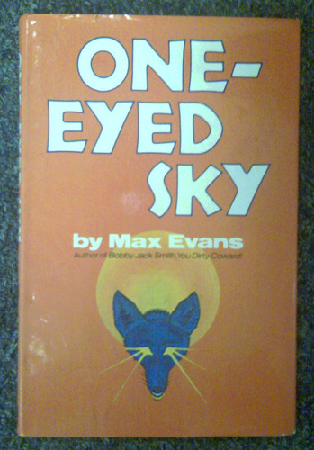 Cover of One-eyed sky