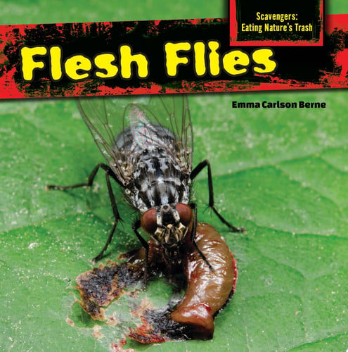 Cover of Flesh Flies