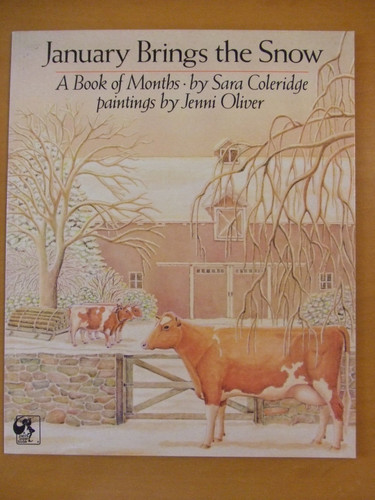 Cover of January Brings the Snow