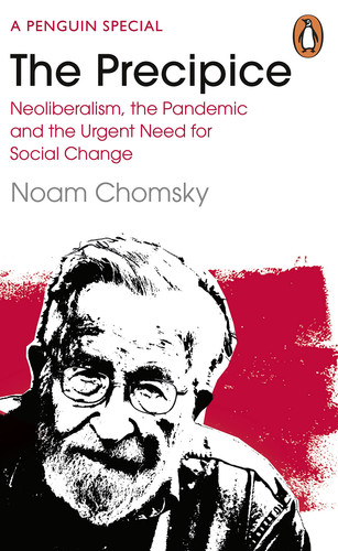 The Precipice Neoliberalism, the Pandemic and the Urgent Need for Radical Change