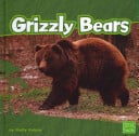Cover of Bears