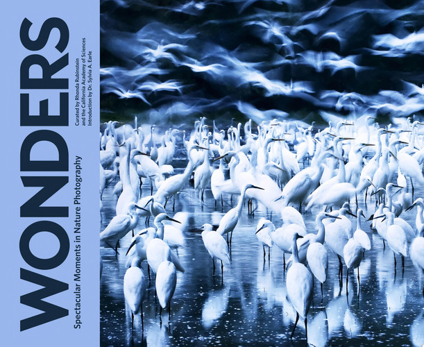 Cover of Wonders