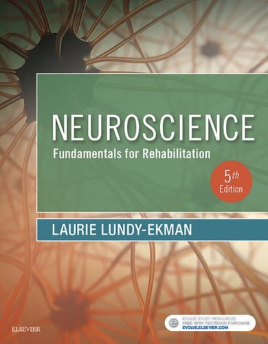 Neuroscience Fundamentals for Rehabilitation