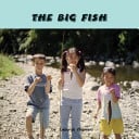 Cover of Big Fish
