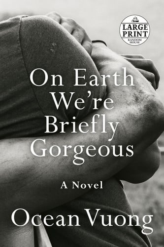 On Earth We're Briefly Gorgeous A Novel