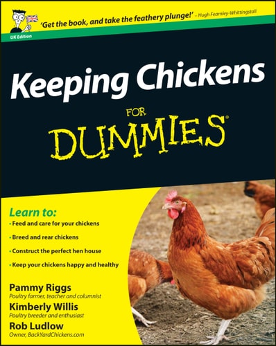 Keeping chickens for dummies