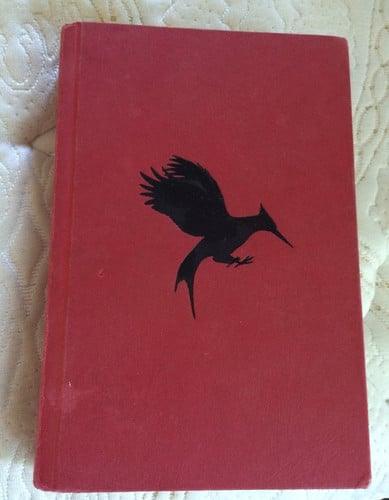 Catching Fire