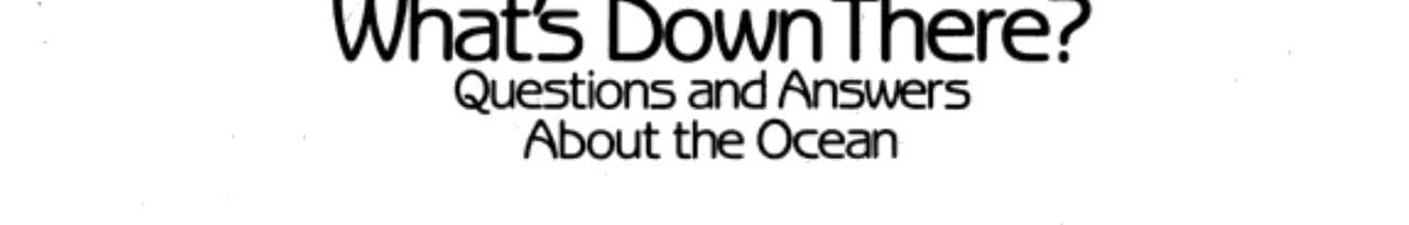 Cover of What's Down There?