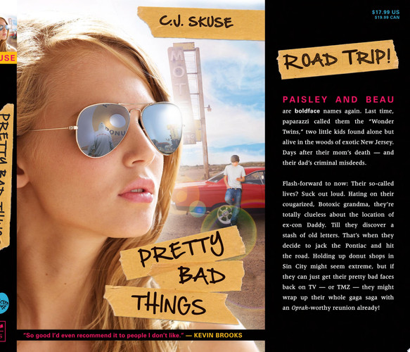 Cover of Pretty Bad Things