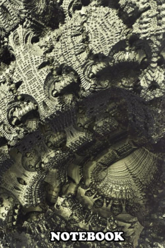 Notebook: Surface Of Fractals , Journal for Writing, College Ruled Size 6" x 9", 110 Pages