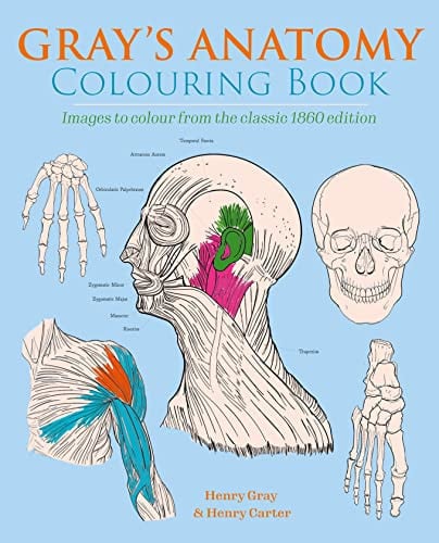 Gray's Anatomy Colouring Book Images to Colour from the Classic 1860 Edition