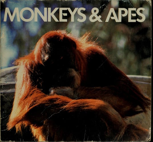 Cover of Monkeys and Apes