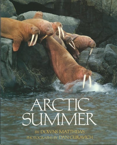 Cover of Arctic Summer