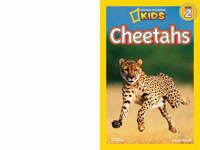 Cover of Cheetahs