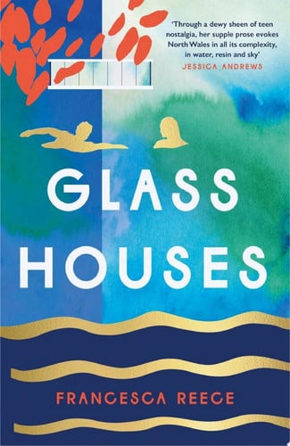 Glass Houses 'A devastatingly compelling new voice in literary fiction' - Louise O'Neill