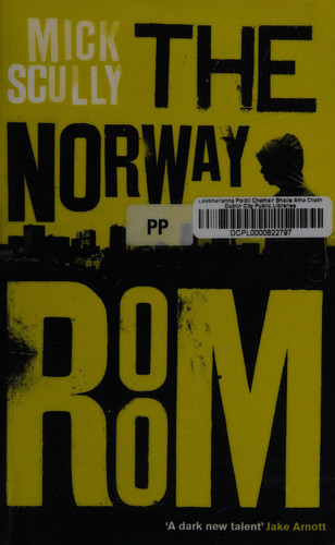 Cover of The Norway Room