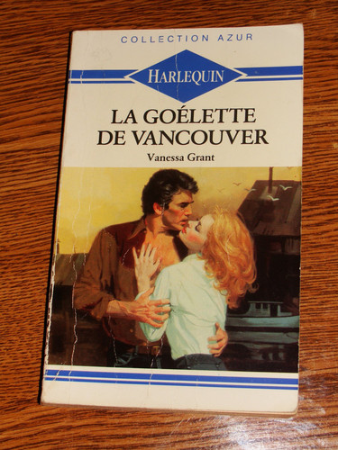 Cover of A lesson plan book for The Door in the wall by Marguerite de Angeli (Bridges, moving from the basal into literature)