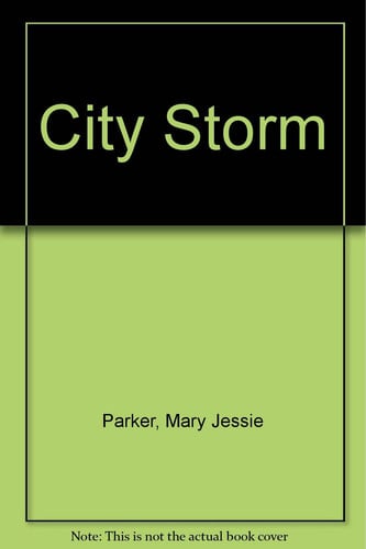 Cover of City storm