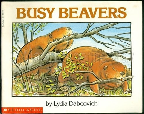 Cover of Busy Beavers