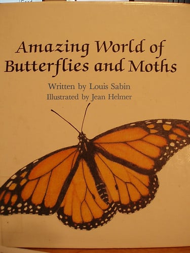Cover of Amazing World of Butterflies and Moths