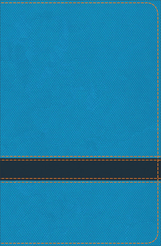 KJV Study Bible for Boys Ocean/Navy LeatherTouch