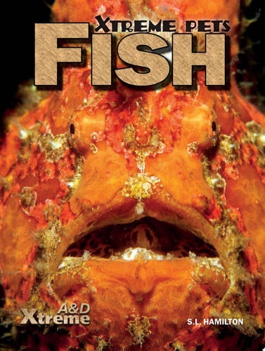 Cover of Fish
