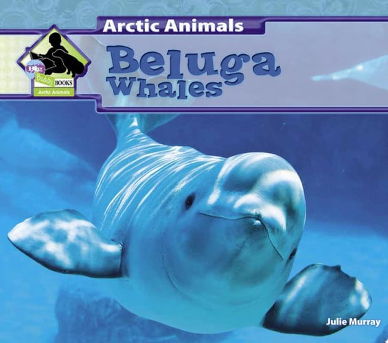 Cover of Beluga Whales