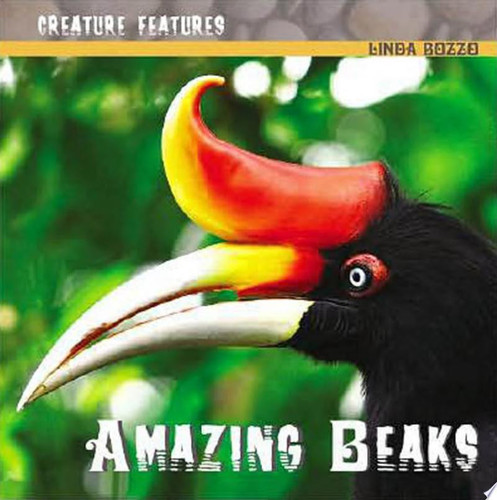 Cover of Amazing Beaks