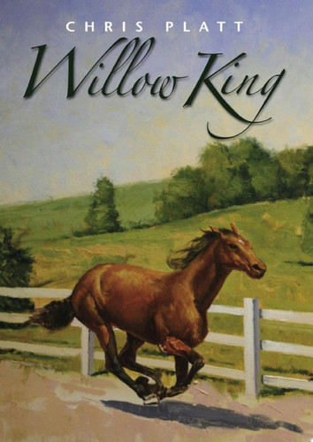 Cover of Willow King