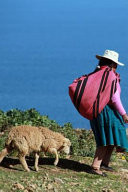 Peruvian Woman Walking by Lake Titicaca Peru South American 150 Page Lined Notebook/Diary