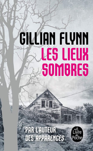 Les Lieux Sombres (Ldp Thrillers) (French Edition)