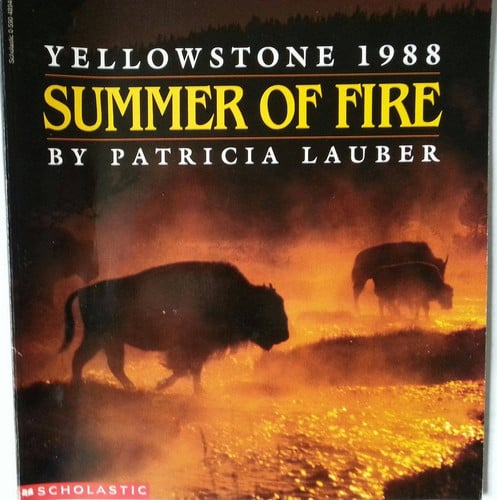 Cover of Summer of Fire