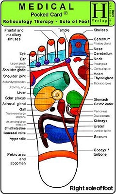 Reflexology Therapy - Sole of Foot - Medical Pocket Card