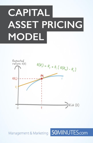 Capital Asset Pricing Model: Make smart investment decisions to build a strong portfolio (Management & Marketing Book 22)