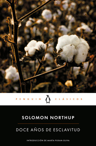 Doce años de esclavitud / Twelve Years a Slave