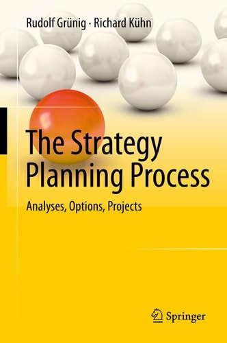 The Strategy Planning Process: Analyses, Options, Projects